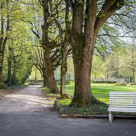 アパートホテル Pre Opening! Erlenbad - Exklusive Residenz Bei Baden-baden An Der Schwarzwaldhochstrasse 4*